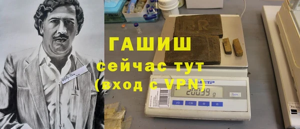 индика Аркадак