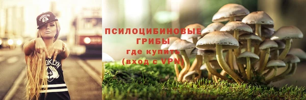 бошки Армянск