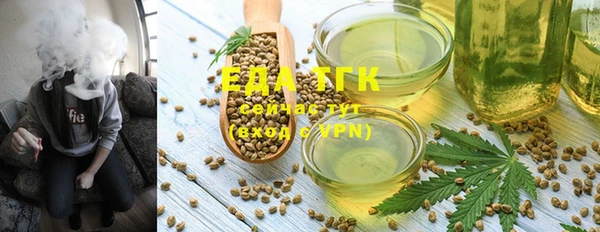 индика Аркадак