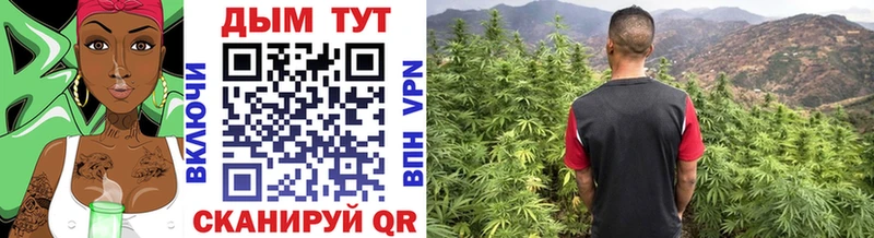 Бошки марихуана семена  купить закладку  маркетплейс Telegram  Ряжск 